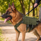 Detachable MOLLE Pouches & Breathable Mesh Dog Backpack Harness