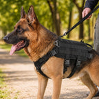 Detachable MOLLE Pouches & Breathable Mesh Dog Backpack Harness