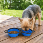 DogBedHouse 2-In-1 Collapsible Travel Bowl (Hangable)