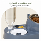 DogBedHouse 2-in-1 Feeder & Waterer Pet Bowl (Partitioned Tank)