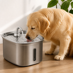 DogBedHouse 7L Stainless Steel & Filtered Pet Water Fountain