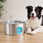 DogBedHouse 7L Stainless Steel & Filtered Pet Water Fountain