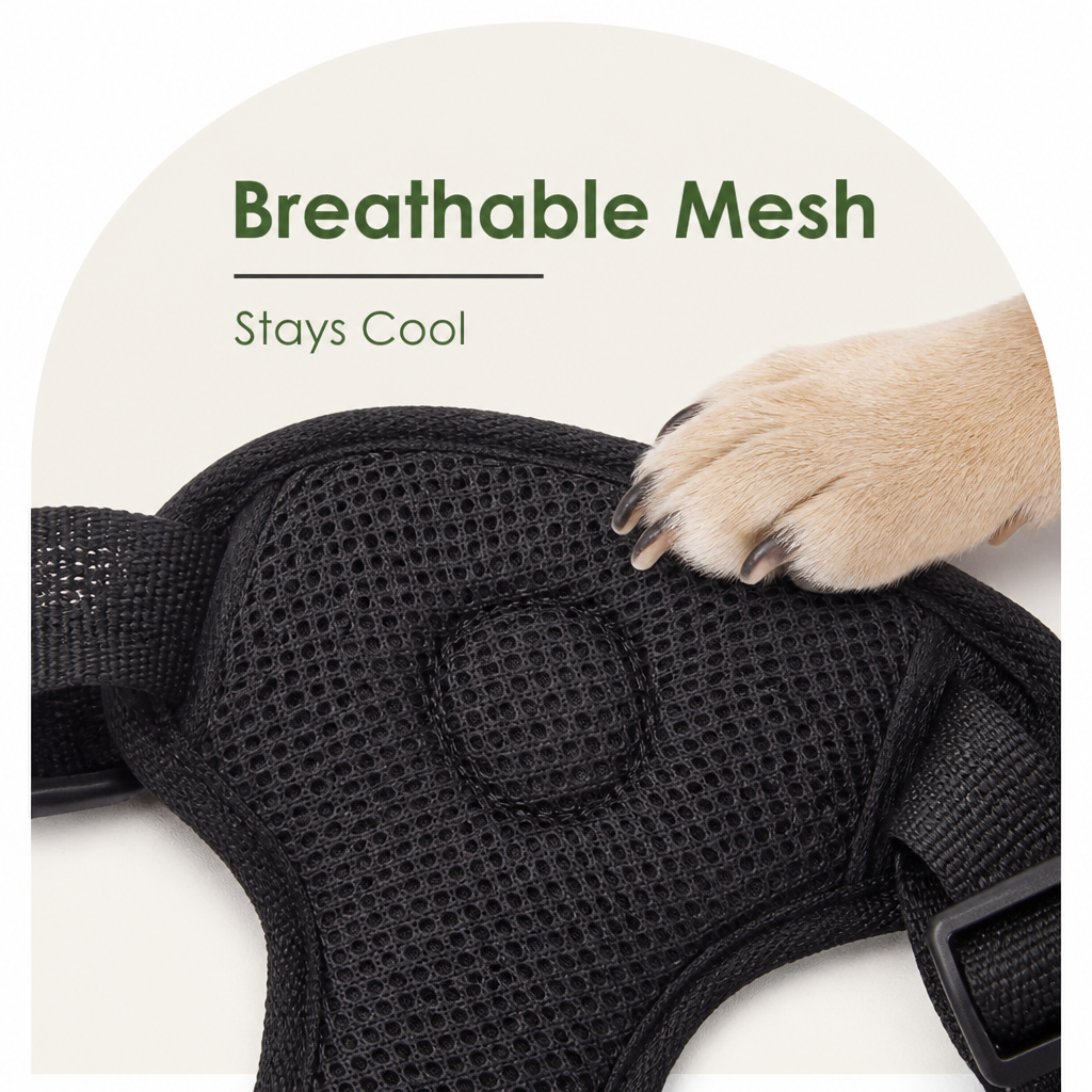 DogBedHouse Adjustable Breathable Mesh Dog Car Safety Harness
