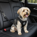 DogBedHouse Adjustable Breathable Mesh Dog Car Safety Harness
