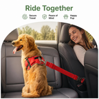 DogBedHouse Adjustable & Durable Pet Car Seat Belt