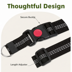 DogBedHouse Adjustable Elastic Bungee Dog Seat Belt