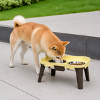 DogBedHouse Adjustable Height & Non-Slip Elevated Pet Feeder (Stainless Steel Bowls)