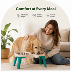 DogBedHouse Adjustable Height & Non-Slip Elevated Pet Feeder (Stainless Steel Bowls)