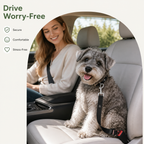 DogBedHouse Adjustable Nylon & Metal Buckle Car Seat Belt