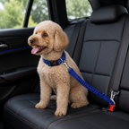 DogBedHouse Adjustable Reflective & Anti-Shock Harness Leash (Seat Tether)