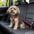 DogBedHouse Adjustable Reflective & Anti-Shock Harness Leash (Seat Tether)