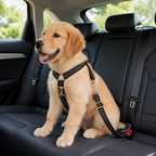 DogBedHouse Adjustable Reflective & Anti-Shock Harness Leash (Seat Tether)
