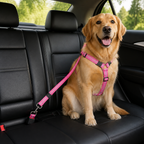 DogBedHouse Adjustable Reflective Quick-Release Car Safety Belt