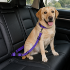 DogBedHouse Adjustable Reflective Quick-Release Car Safety Belt