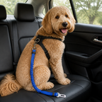 DogBedHouse Adjustable Reflective Quick-Release Car Seat Belt