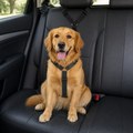 DogBedHouse Adjustable Stretch Nylon Car Seat Belt