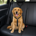 DogBedHouse Adjustable Stretch Nylon Car Seat Belt