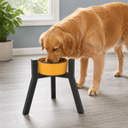 DogBedHouse Adjustable Width & Foldable Elevated Dog Bowl Stand