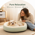 DogBedHouse All-Season Breathable & Non-Toxic Pet Bed