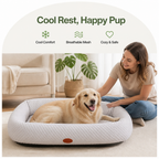 DogBedHouse Breathable Mesh & No-Power Cooling Dog Bed (Removable Cover)