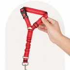 DogBedHouse Bungee Shock-Absorbing & Reflective Car Seat Leash (For Small-Medium Dogs)