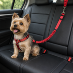 DogBedHouse Bungee Shock-Absorbing & Reflective Car Seat Leash (For Small-Medium Dogs)