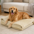 DogBedHouse Calming Coral Velvet & Machine Washable Pet Blanket