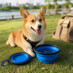 DogBedHouse Collapsible Food-Grade Silicone Travel Bowl