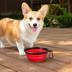 DogBedHouse Collapsible Food-Grade Silicone Travel Bowl