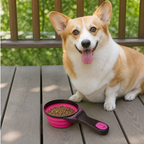 DogBedHouse Collapsible & Sealing Clip Feeding Scoop (Measuring Cup)