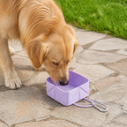 DogBedHouse Collapsible Silicone Pet Travel Bowl