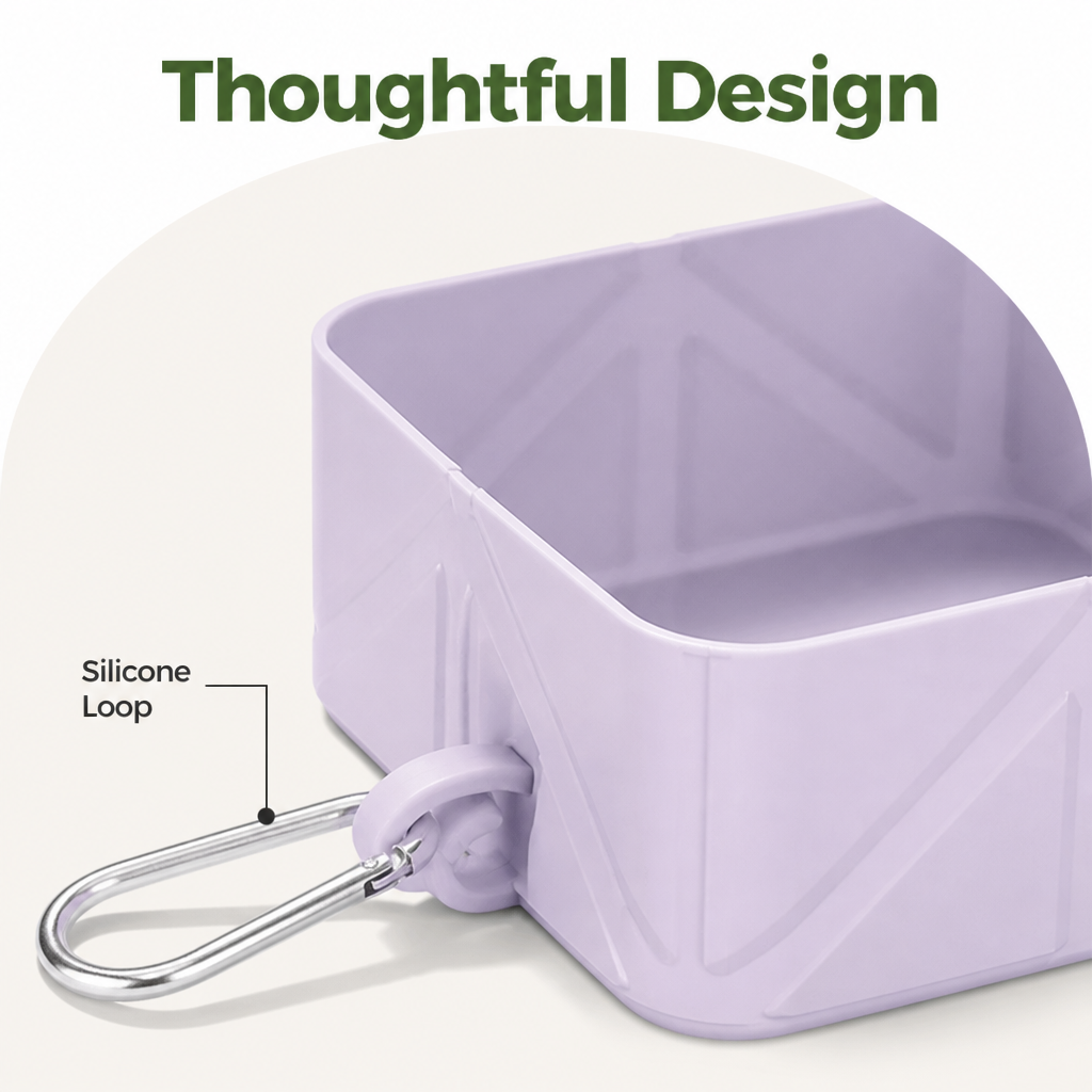 DogBedHouse Collapsible Silicone Pet Travel Bowl