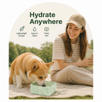 DogBedHouse Collapsible Silicone Pet Travel Bowl