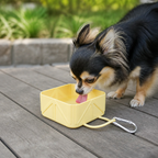 DogBedHouse Collapsible Silicone Pet Travel Bowl