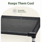 DogBedHouse Cooling Breathable Mesh Elevated Dog Bed