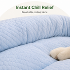 DogBedHouse Cooling Donut Plush Dog Bed