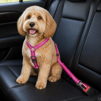 DogBedHouse Dual-Safety Shock-Absorbing Dog Car Seat Belt (Adjustable 16-26 in)
