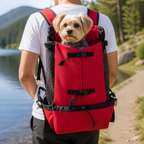 DogBedHouse Durable Nylon & Breathable Mesh Dog Carrier Backpack