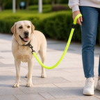 DogBedHouse Elastic Shock-Absorbing Nylon Leash Buffer