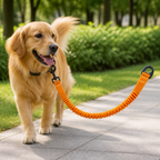 DogBedHouse Elastic Shock-Absorbing Nylon Leash Buffer