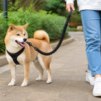 DogBedHouse Elastic Shock-Absorbing Nylon Leash Buffer