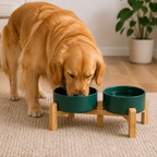DogBedHouse Elevated Wooden Stand & Double Ceramic Dog Bowl