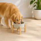 DogBedHouse Elevated Wooden Stand & Double Ceramic Dog Bowl