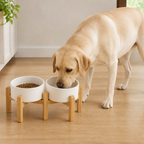 DogBedHouse Elevated Wooden Stand & Double Ceramic Dog Bowl
