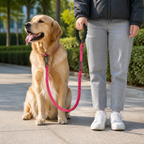 DogBedHouse Explosion-Proof Double-Sided Reflective Adjustable Dog Leash (Medium & Large)