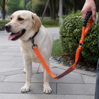 DogBedHouse Explosion-Proof Double-Sided Reflective Adjustable Dog Leash (Medium & Large)