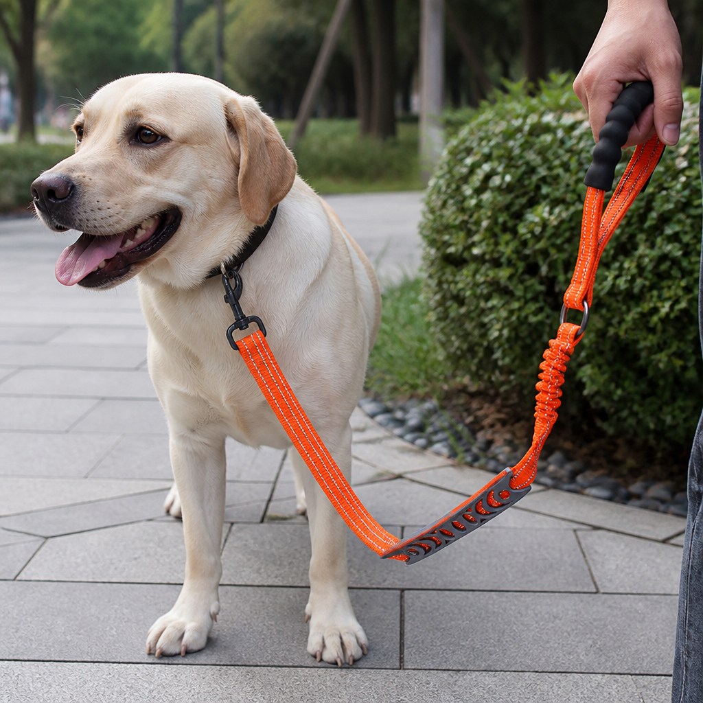 DogBedHouse Explosion-Proof Double-Sided Reflective Adjustable Dog Leash (Medium & Large)