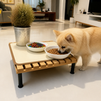 DogBedHouse Fixed-Height Ergonomic Plastic Feeding Stand