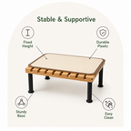 DogBedHouse Fixed-Height Ergonomic Plastic Feeding Stand