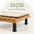 DogBedHouse Fixed-Height Ergonomic Plastic Feeding Stand